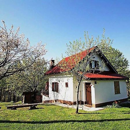 Holiday Home Coprnicka Hisa Skrad Bagian luar foto