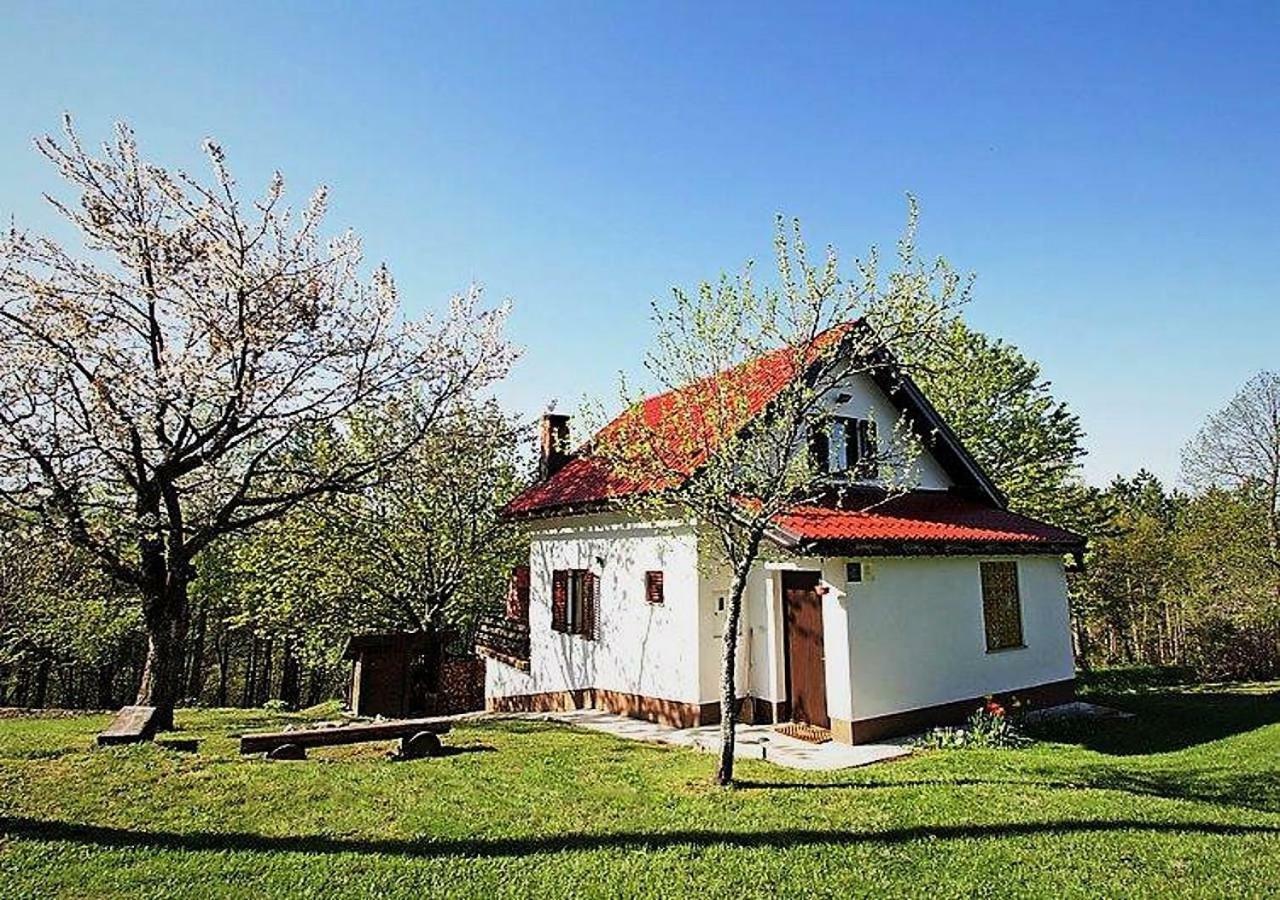 Holiday Home Coprnicka Hisa Skrad Bagian luar foto